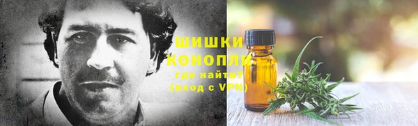 крисы Баксан