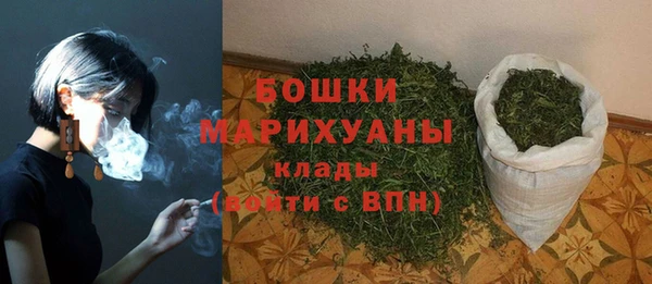 крисы Баксан