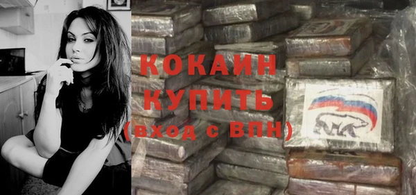 крисы Баксан