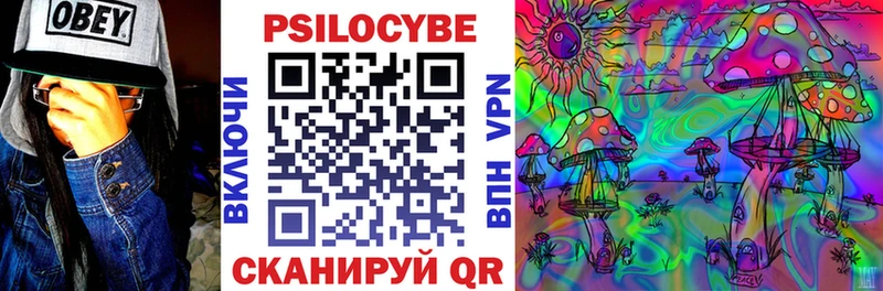 Псилоцибиновые грибы Psilocybine cubensis  Лыткарино 