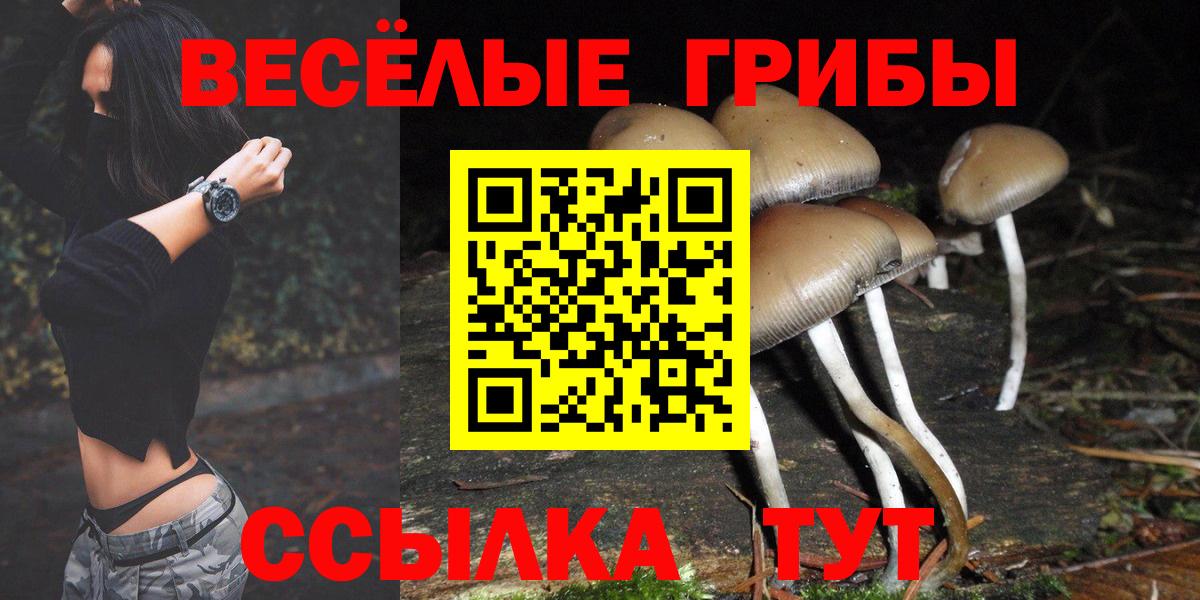 Псилоцибиновые грибы Cubensis  Вход с VPN  Лыткарино  Галлюциногенные грибы MAGIC MUSHROOMS 