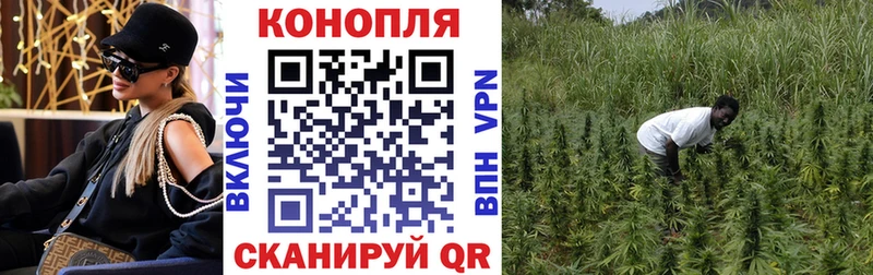 Марихуана ГИДРОПОН  Лыткарино 
